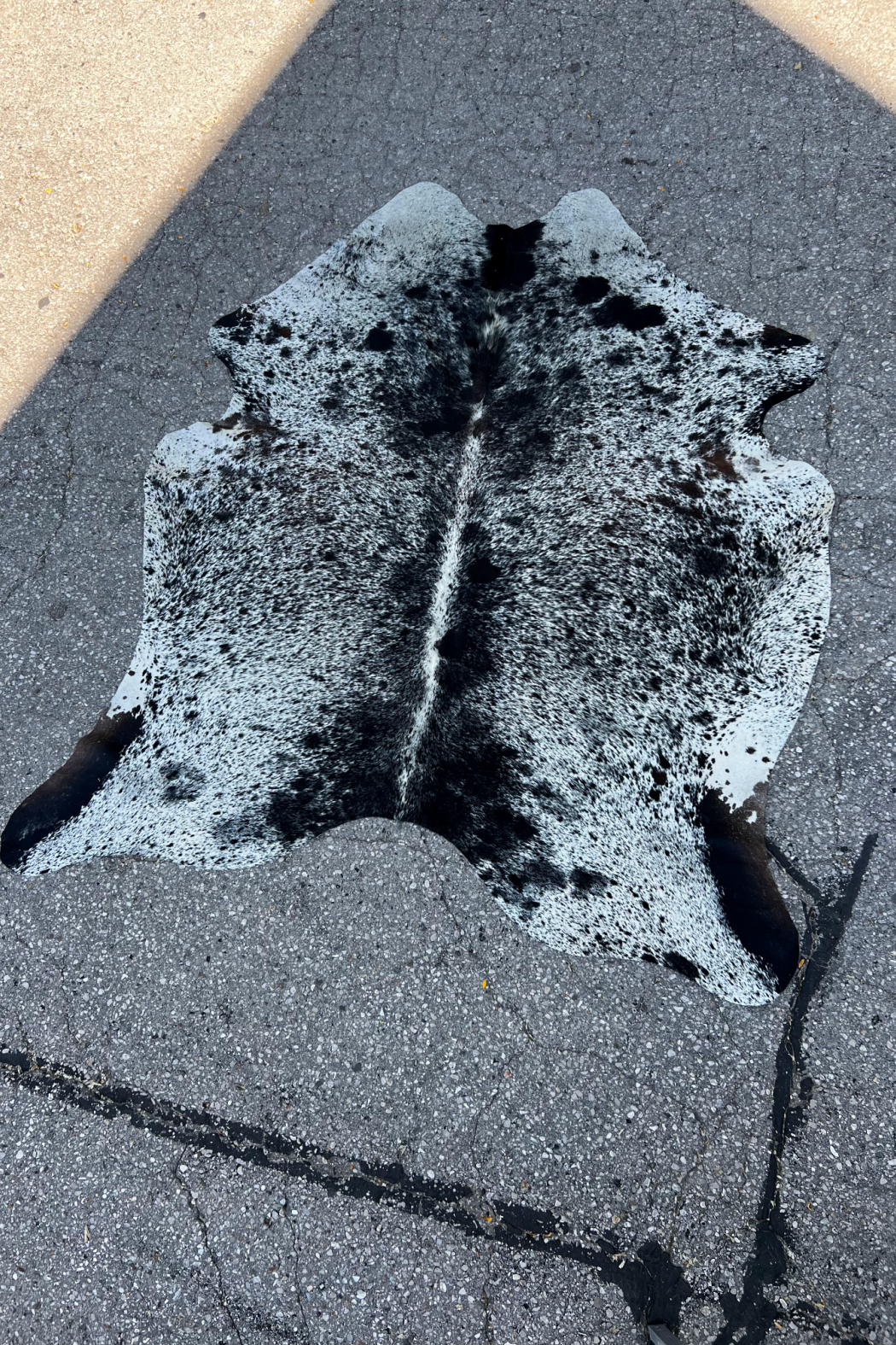 Cowhide Rug 46