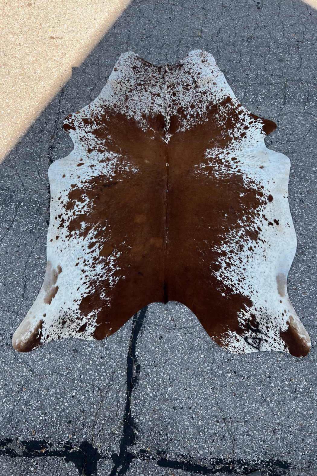 Cowhide Rug 42