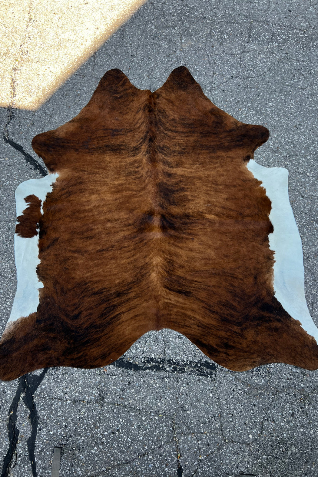 Cowhide Rug 45
