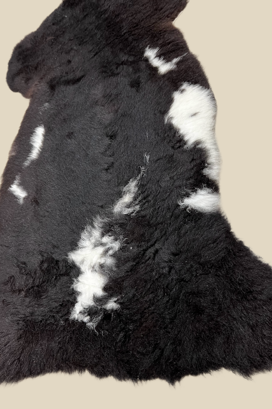 One of a Kind Sheepskin Rug