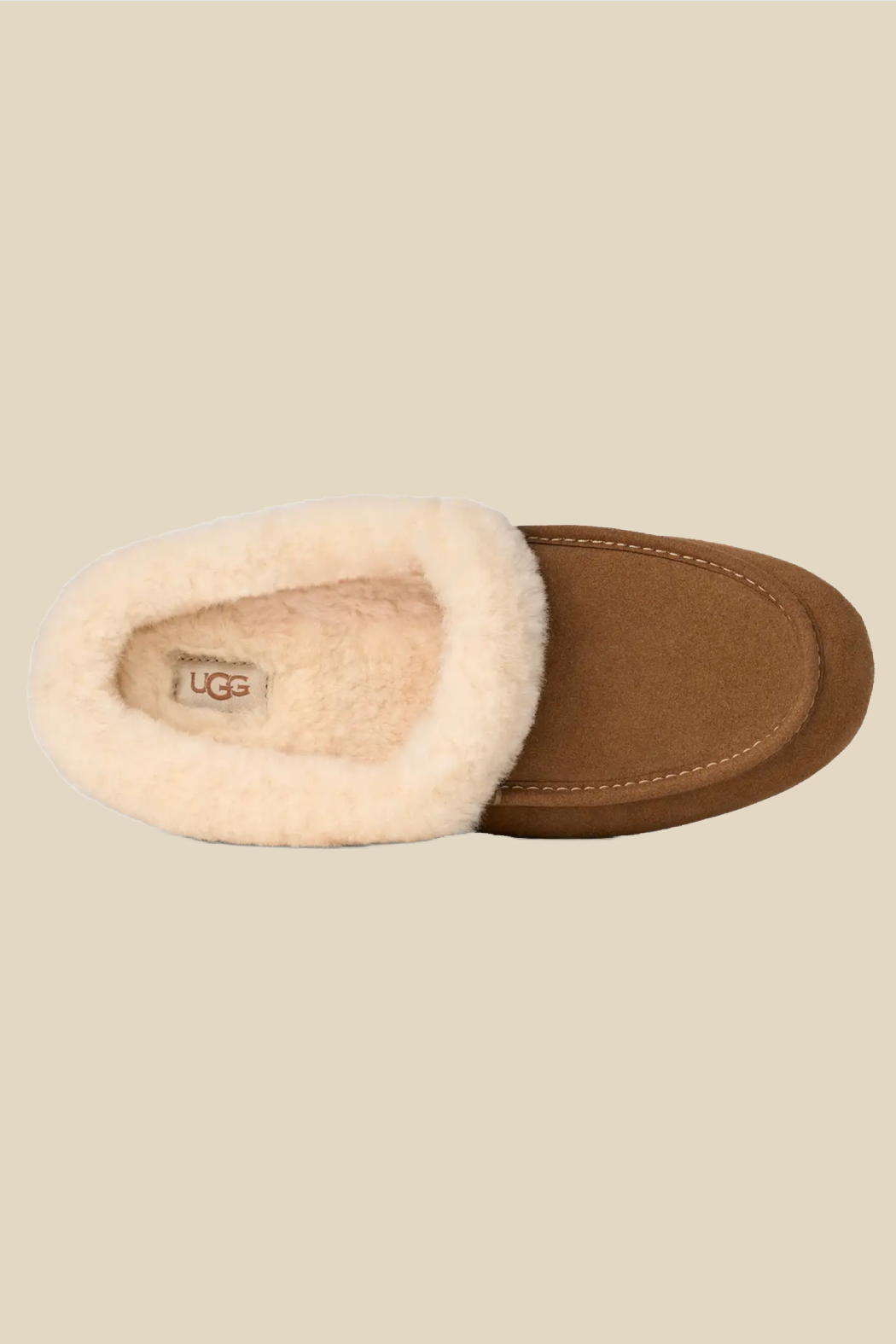 UGG Ansley Mule