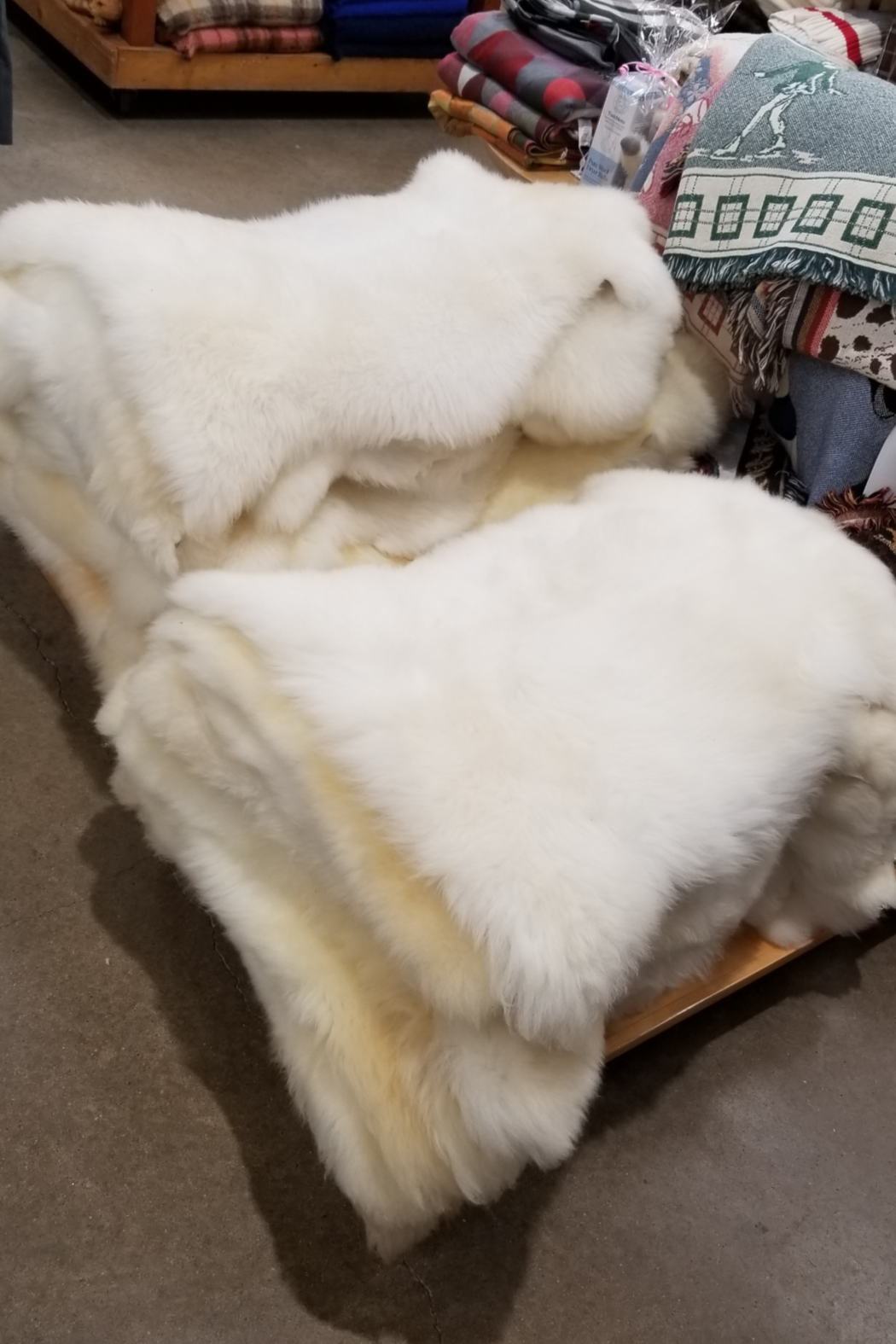 Reduced Sheepskin Rugs