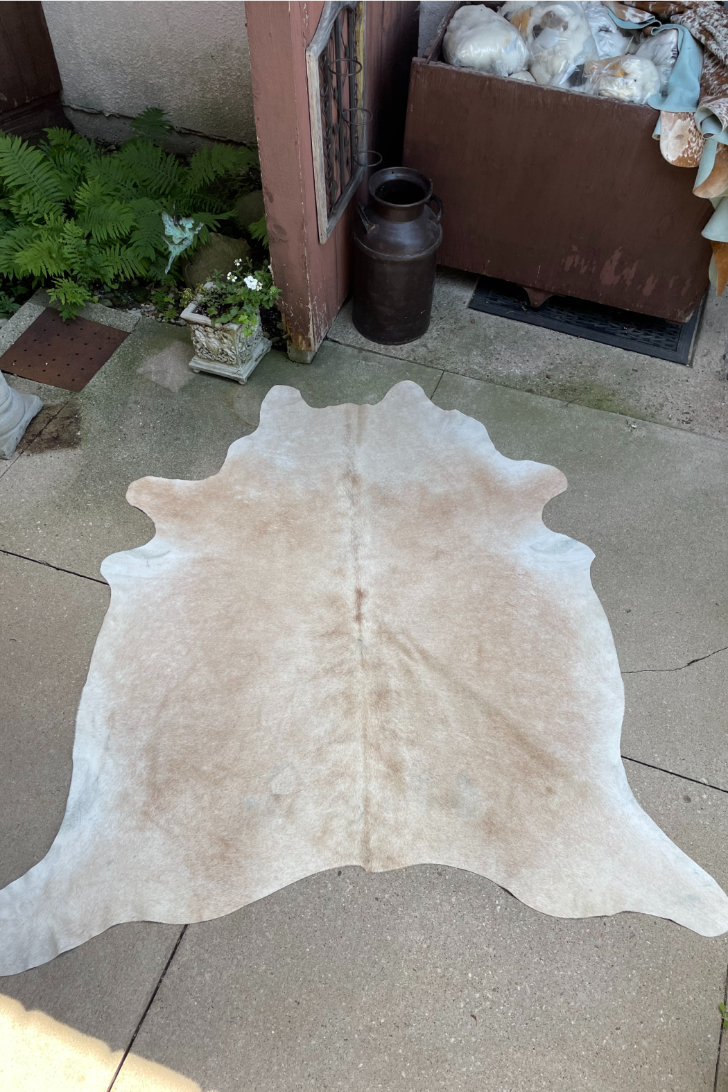 Cowhide Rug 12