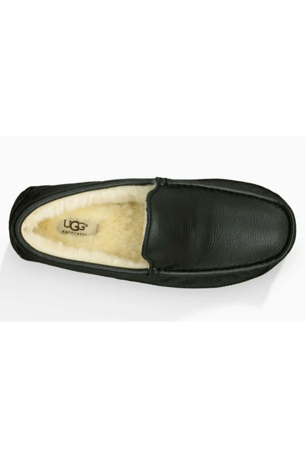 Ascot Slipper