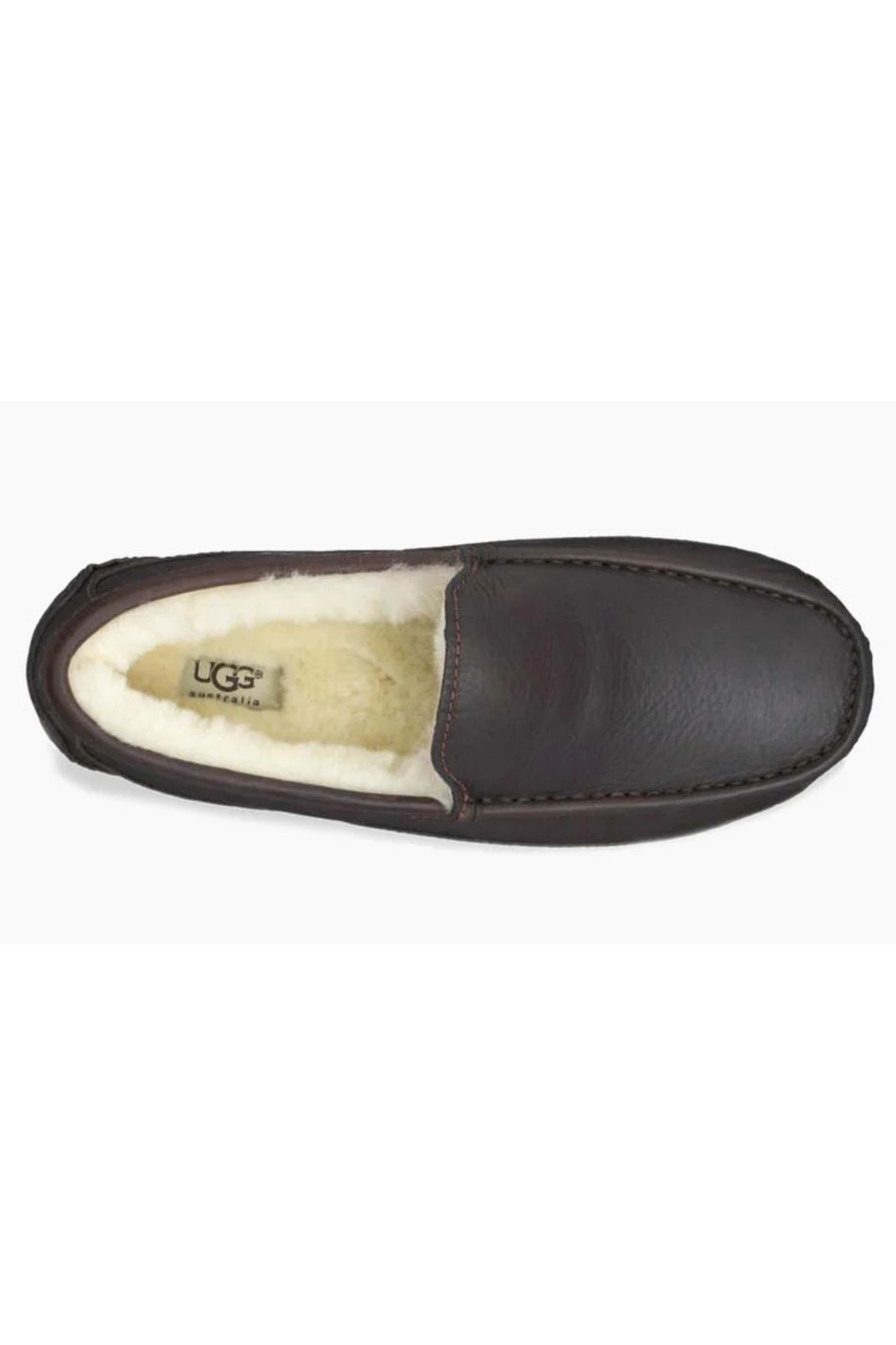 Ascot Slipper