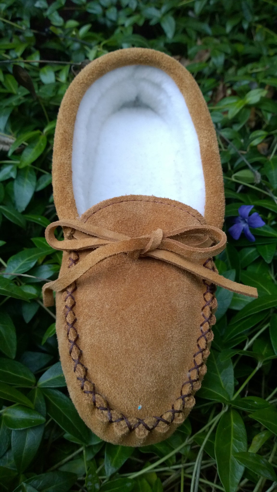 Women's Suede Borg Lined