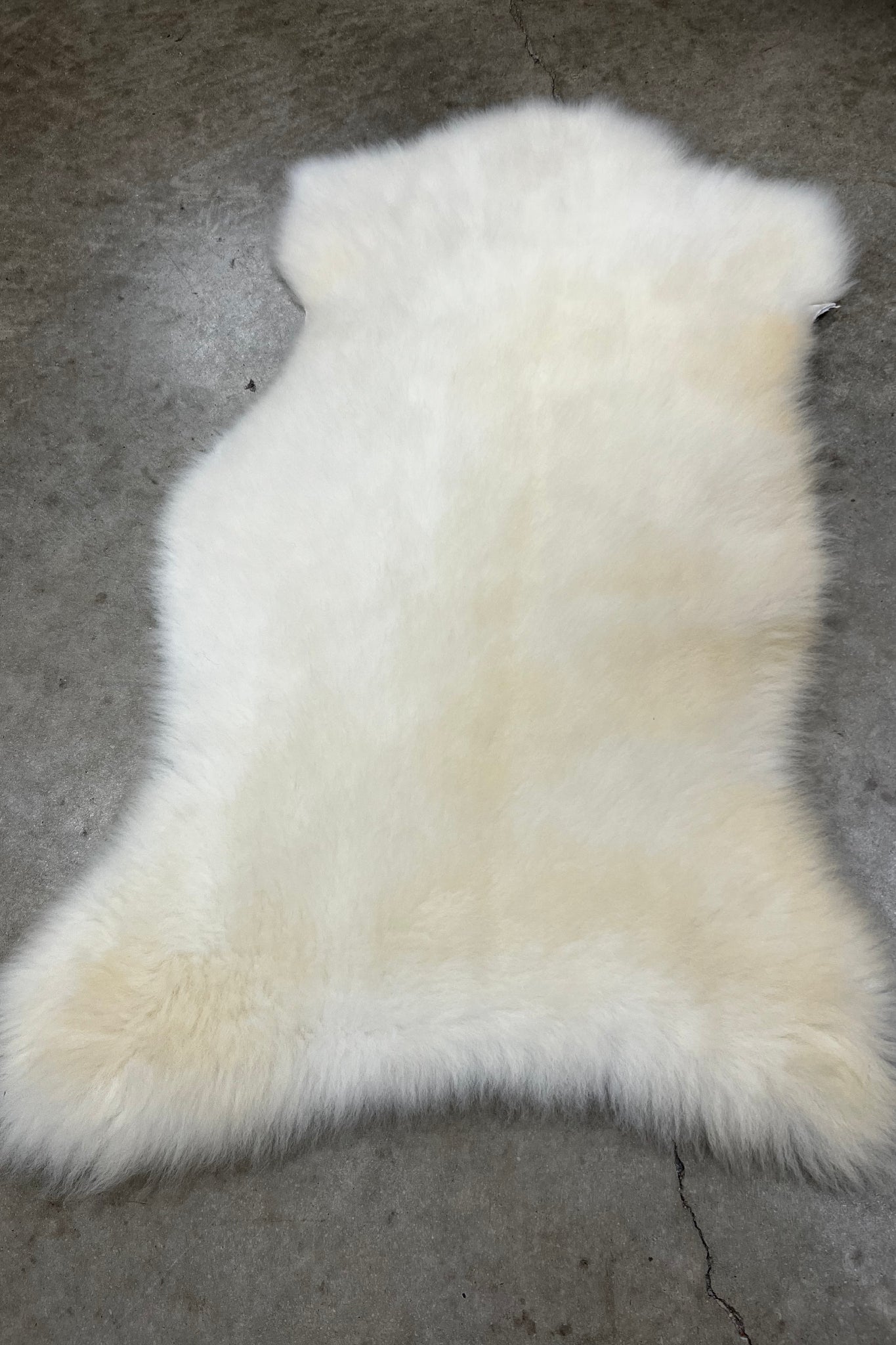 A fluffy white sheepskin rug laid flat on a gray concrete floor.