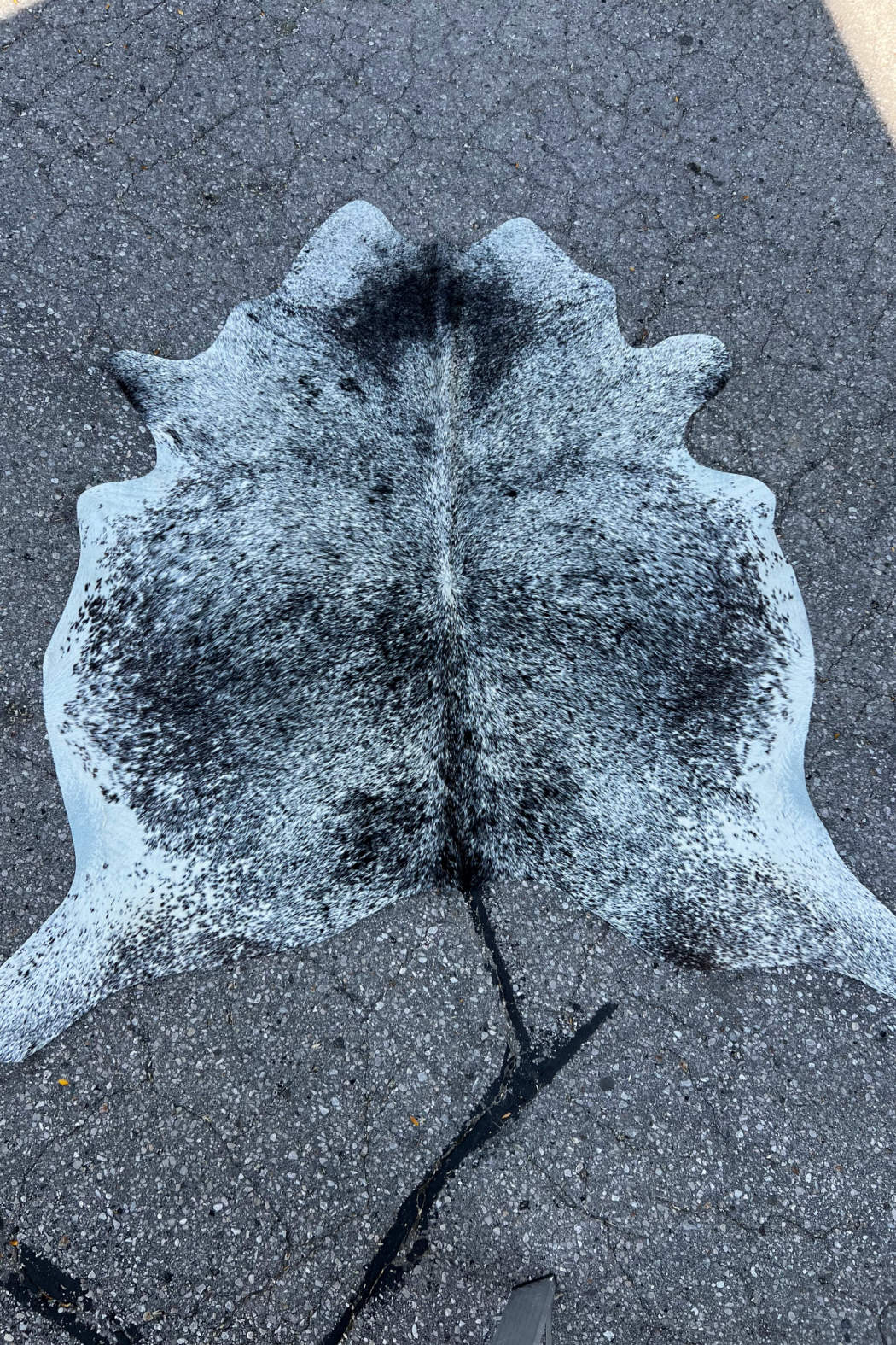 Cowhide Rug 1