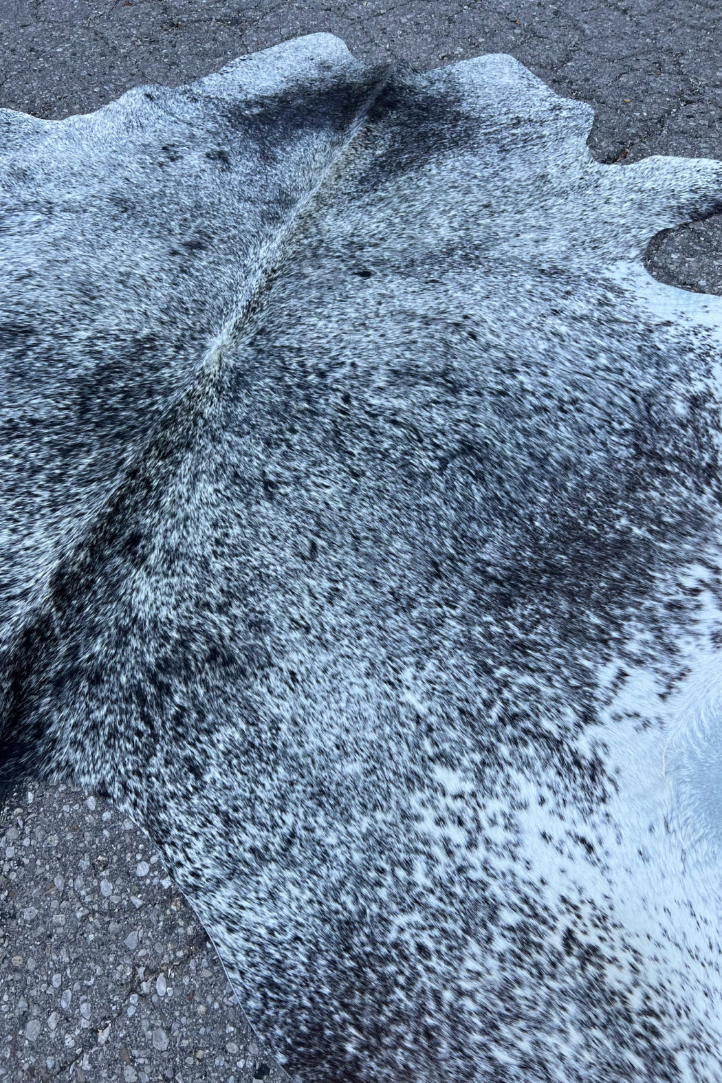 Cowhide Rug 1