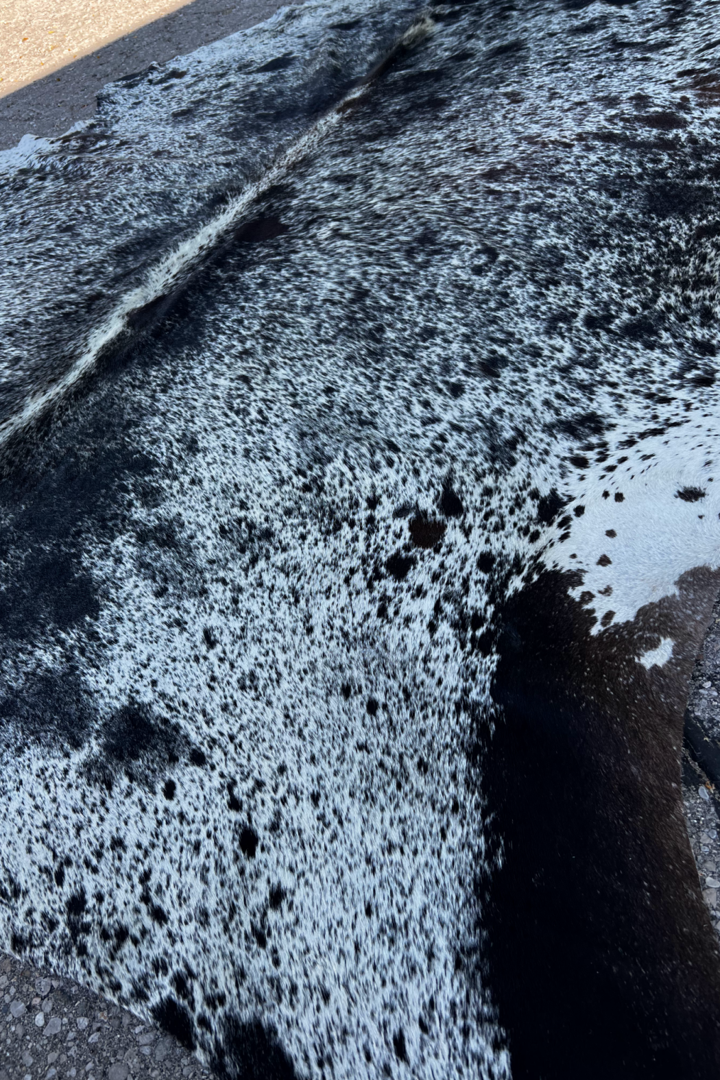 Cowhide Rug 46