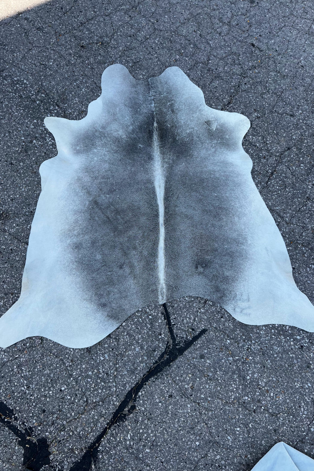 Cowhide Rug 2