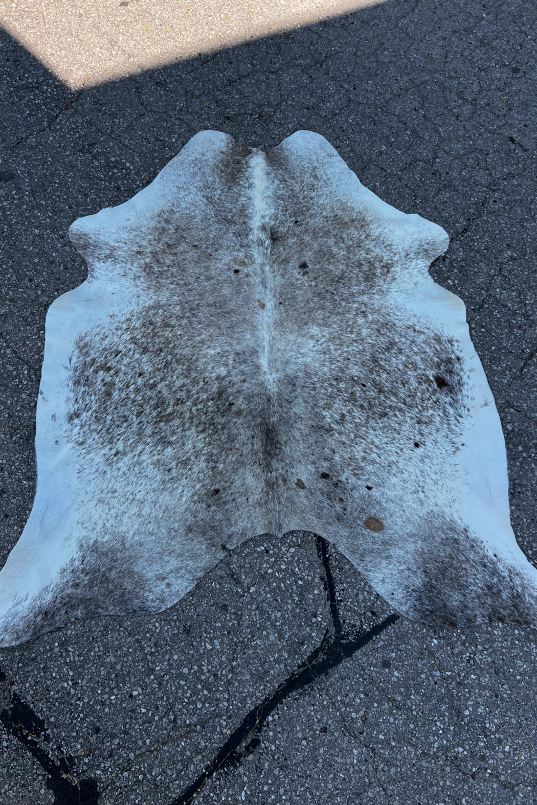 Cowhide Rug 37