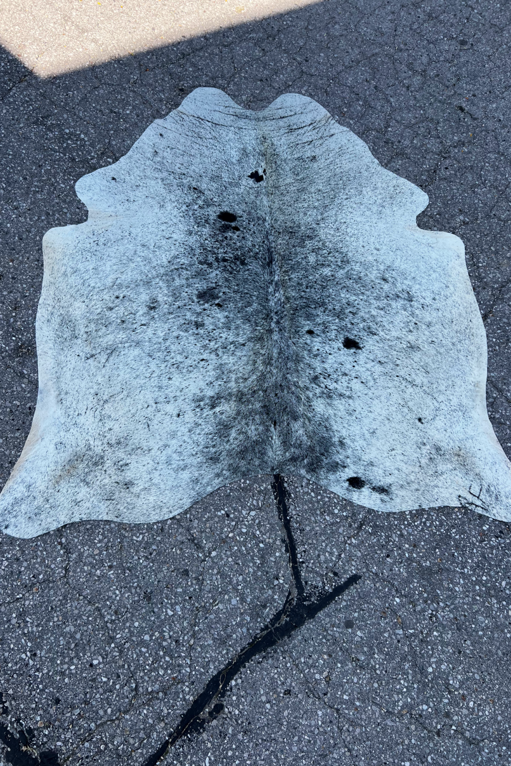 Cowhide Rug 24