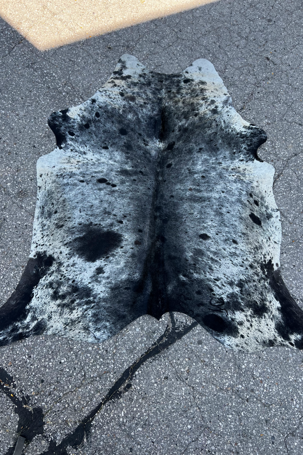 Cowhide Rug 20