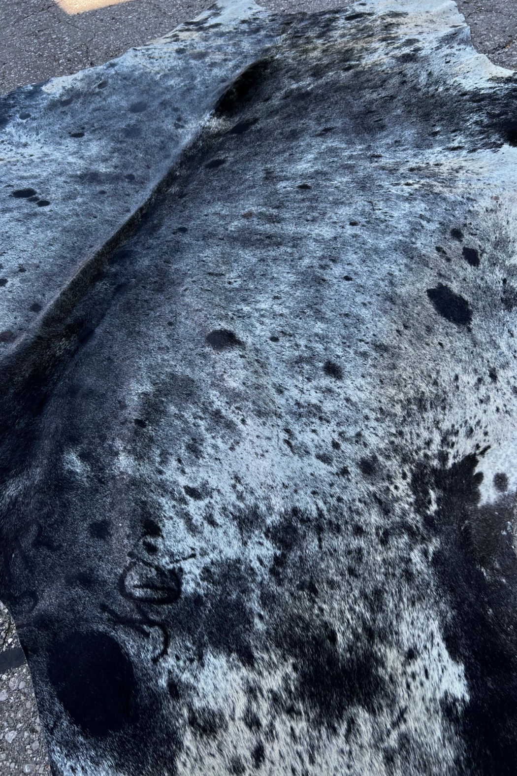 Cowhide Rug 20