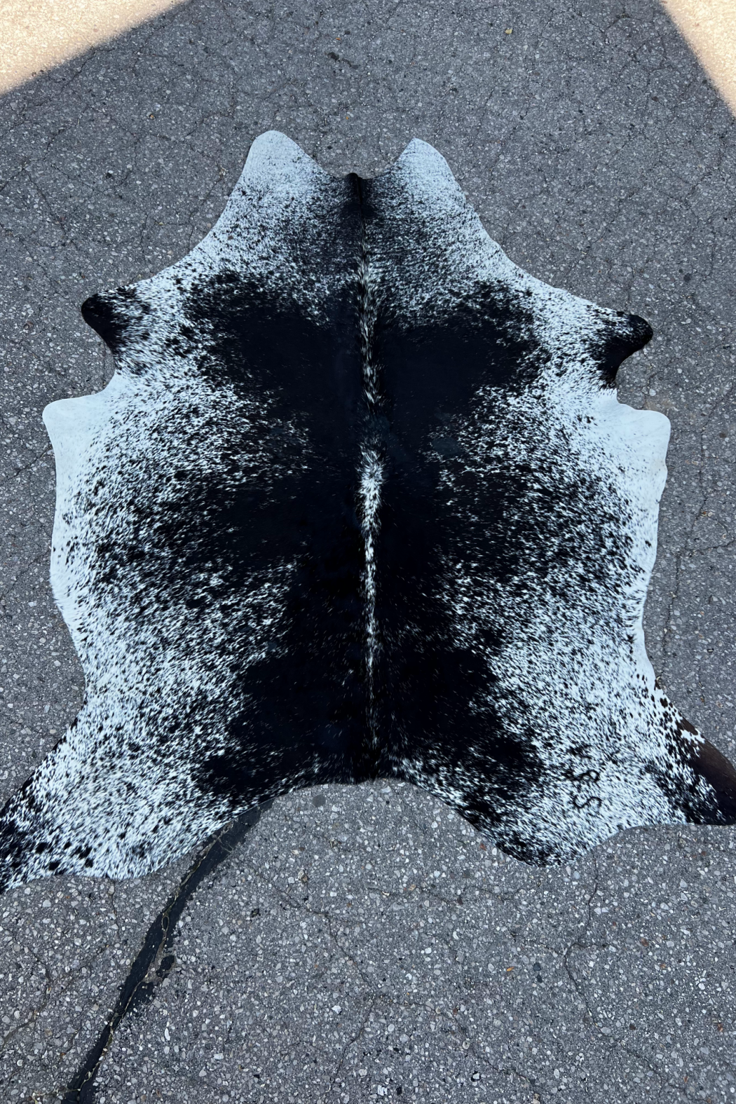 Cowhide Rug 28