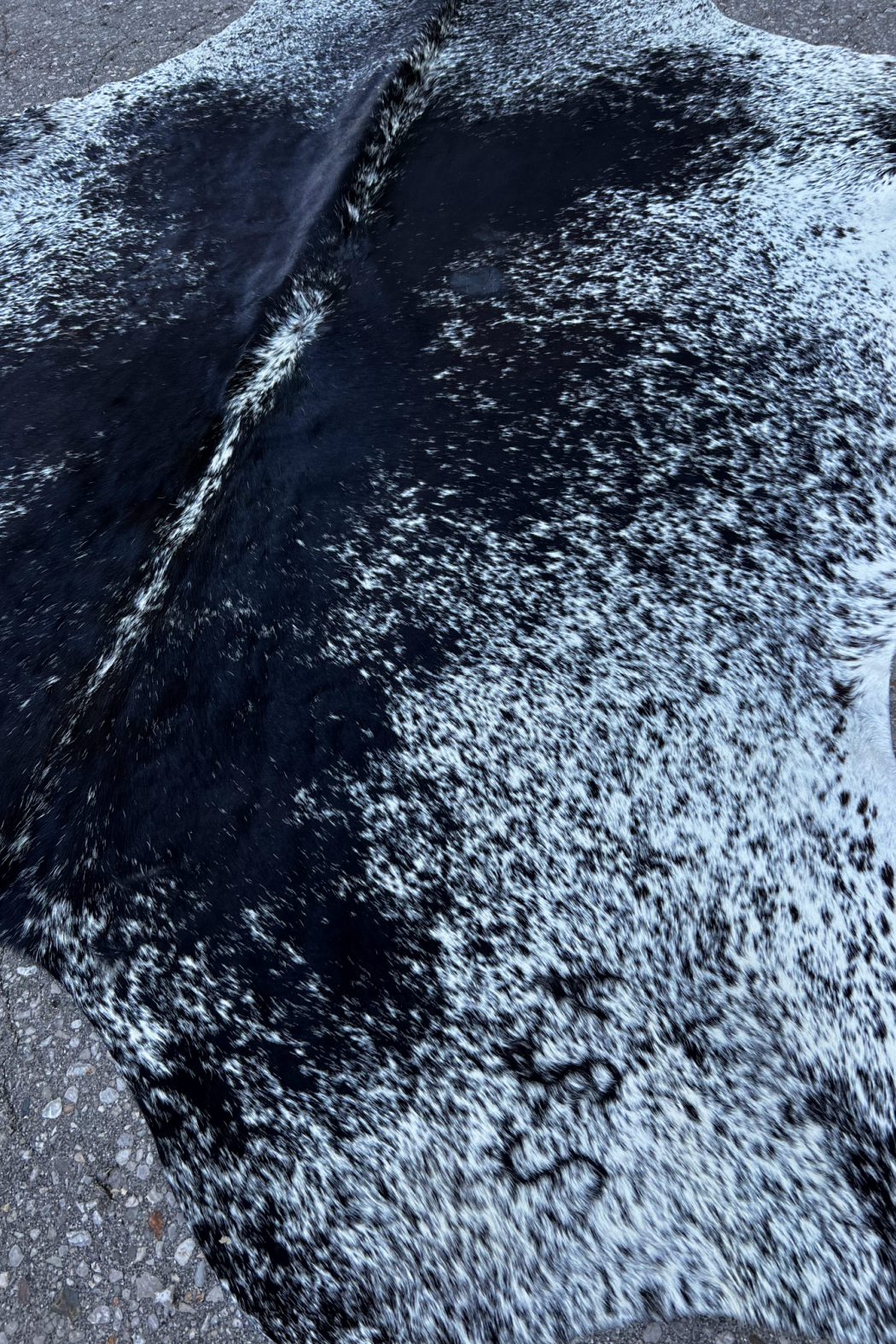 Cowhide Rug 28
