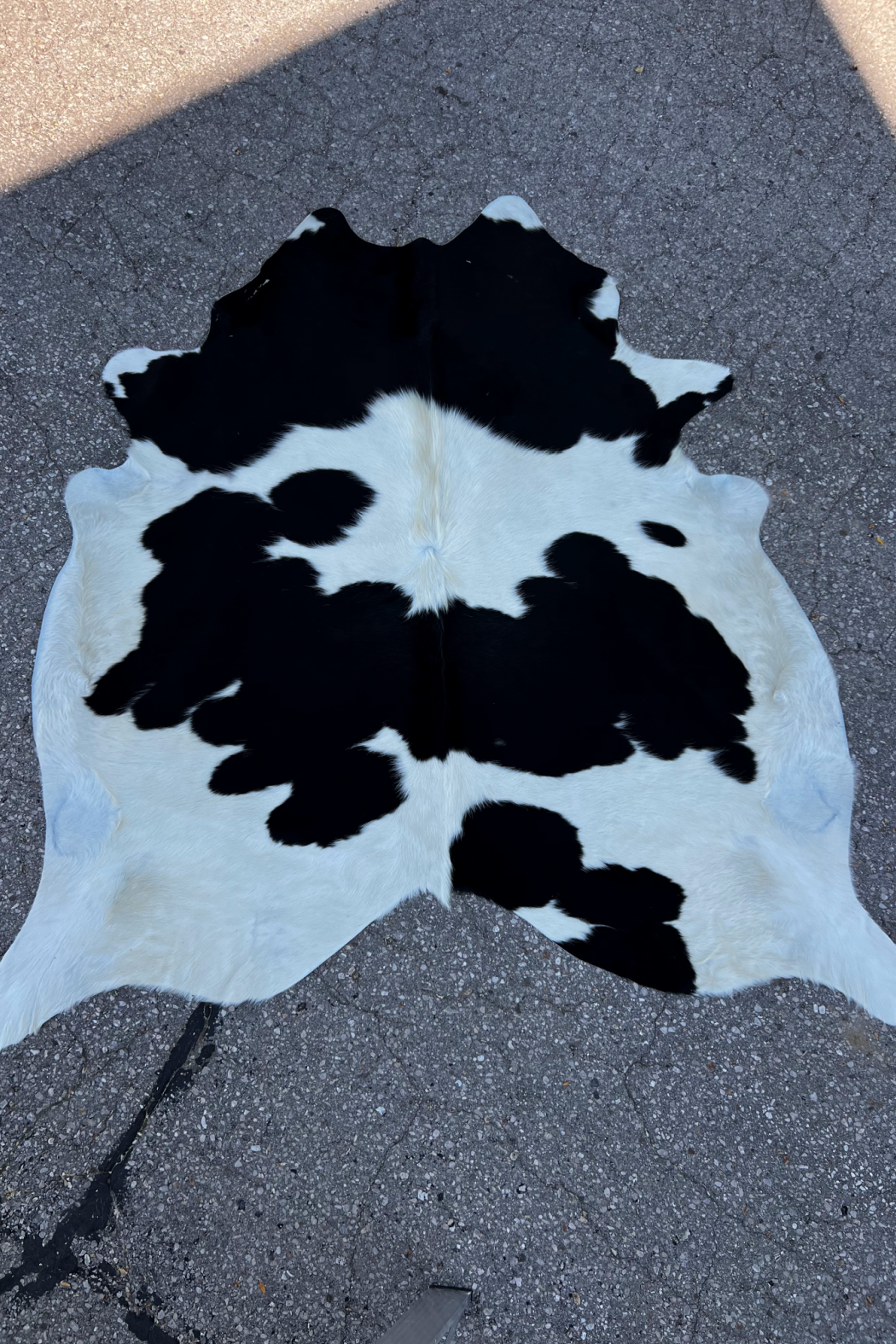 Cowhide Rug 3