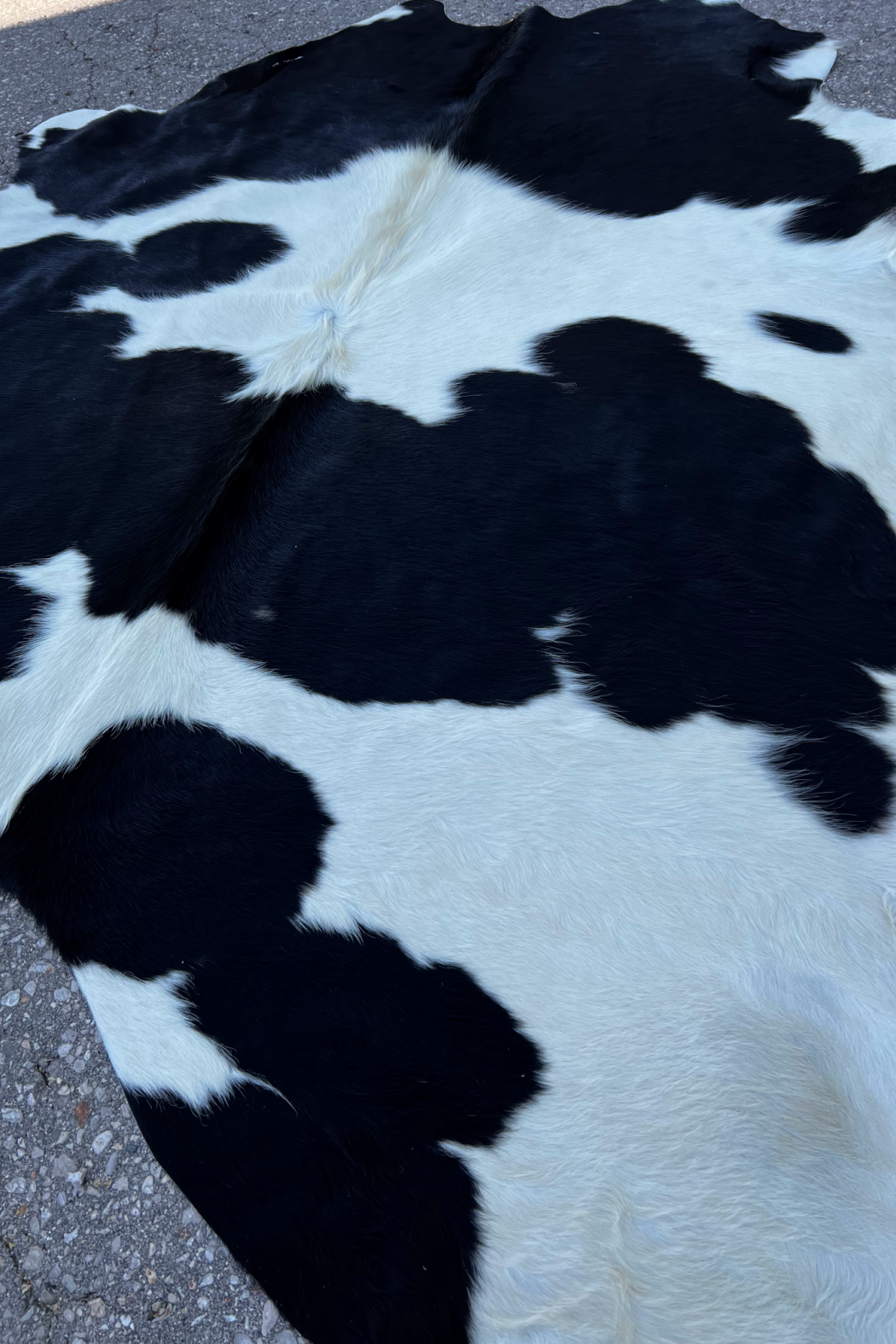 Cowhide Rug 3