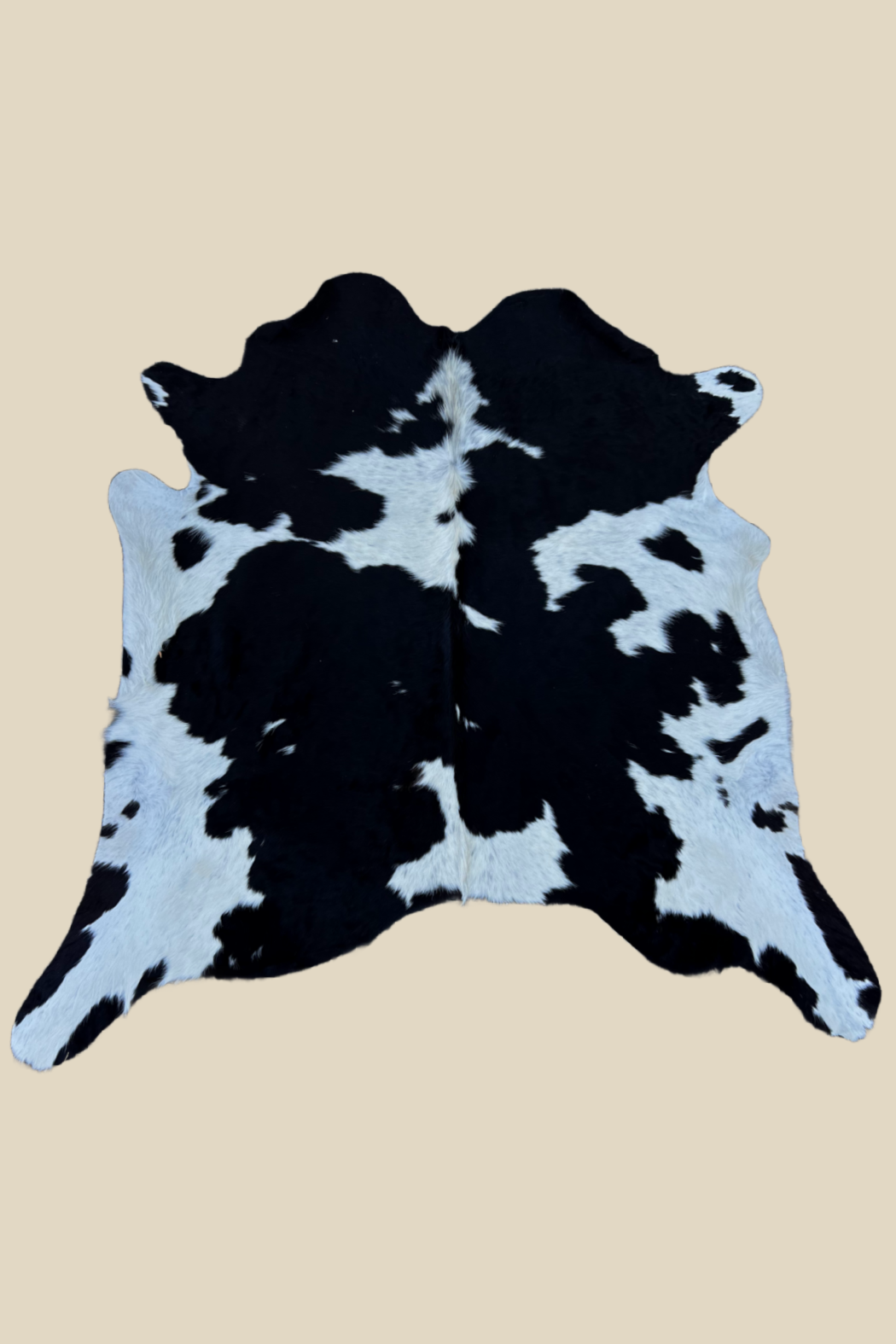 Cowhide Rug 4