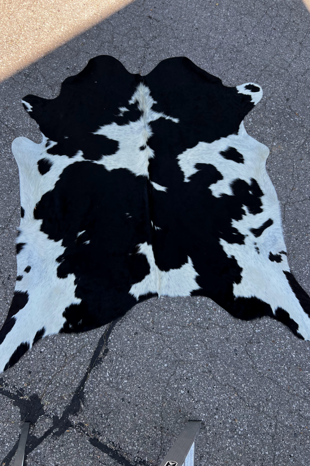 Cowhide Rug 4
