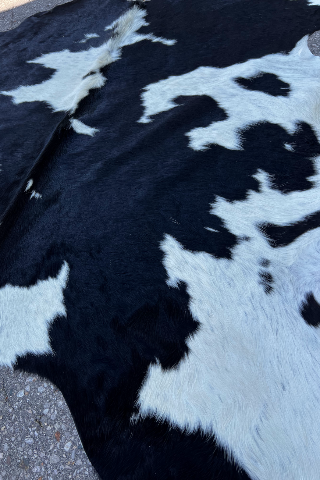 Cowhide Rug 4