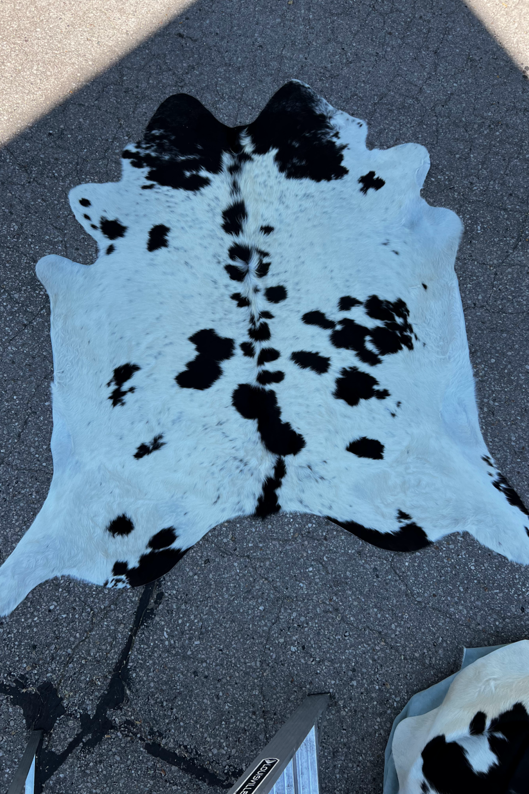 Cowhide Rug 5