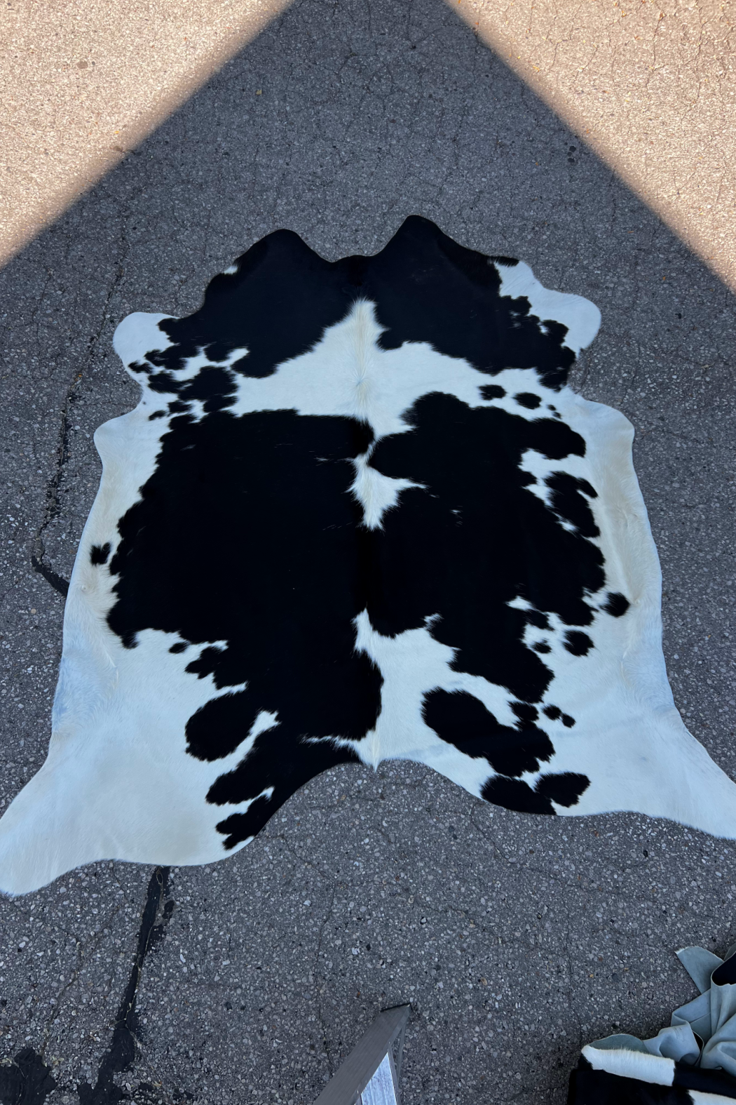Cowhide Rug 6
