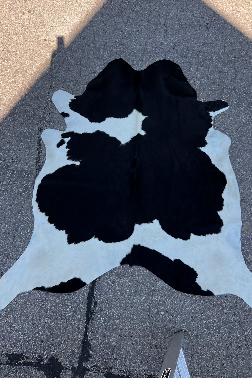Cowhide Rug 7