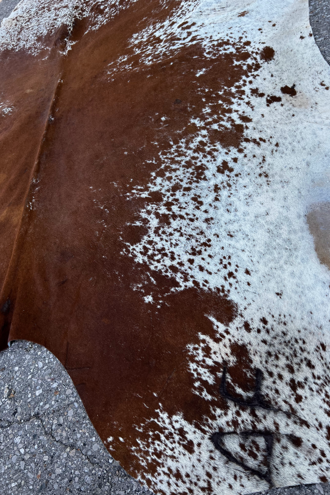 Cowhide Rug 42