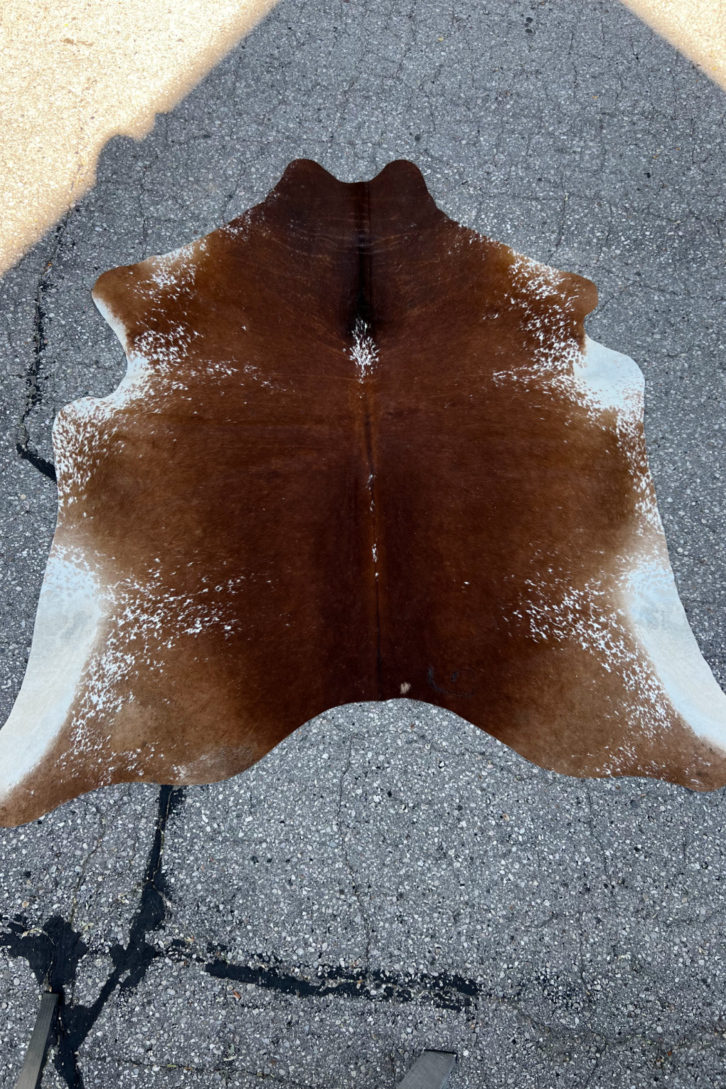 Cowhide Rug 15