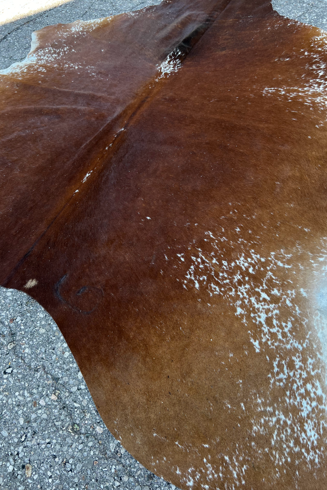 Cowhide Rug 15