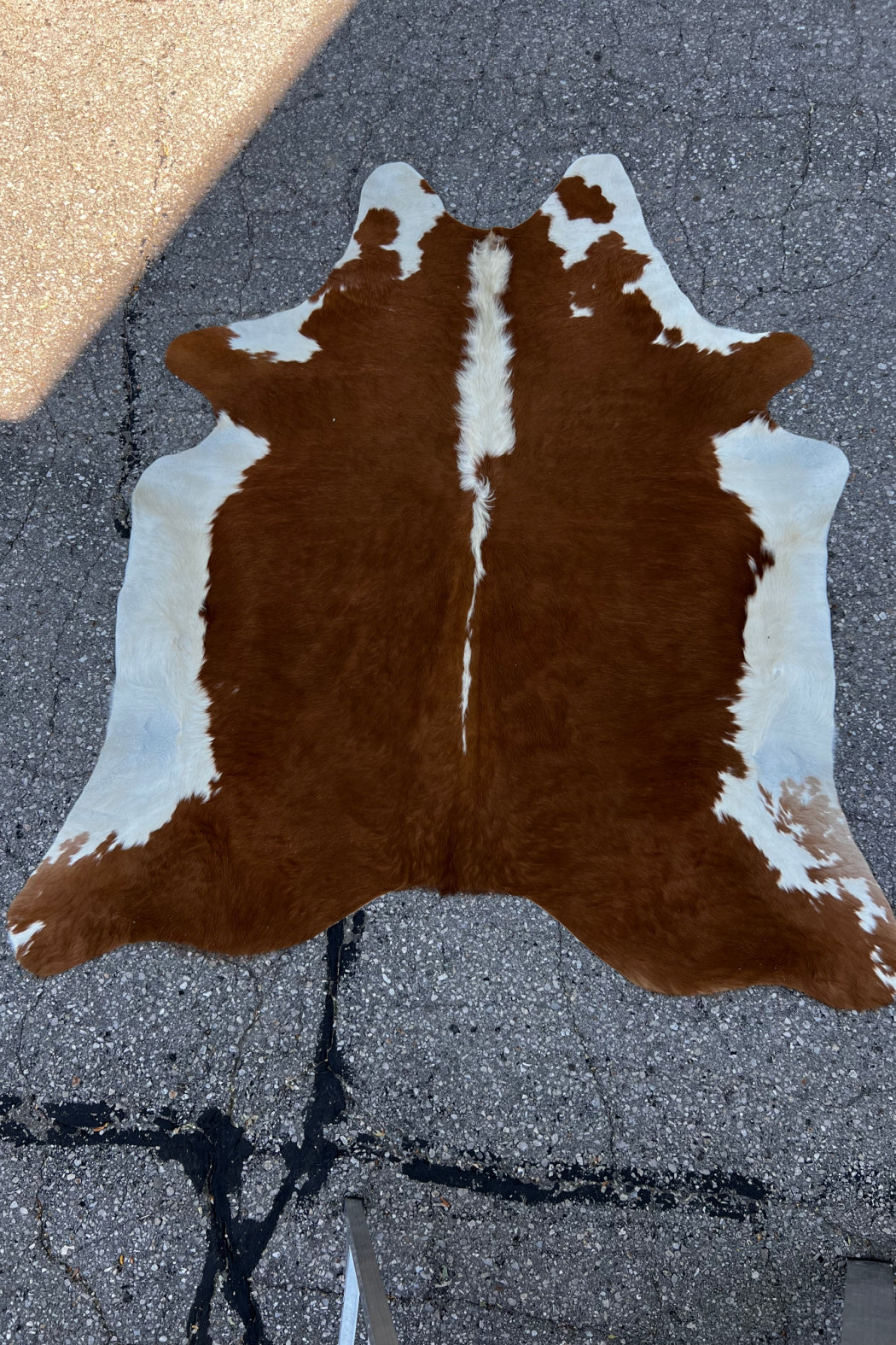 Cowhide Rug 04