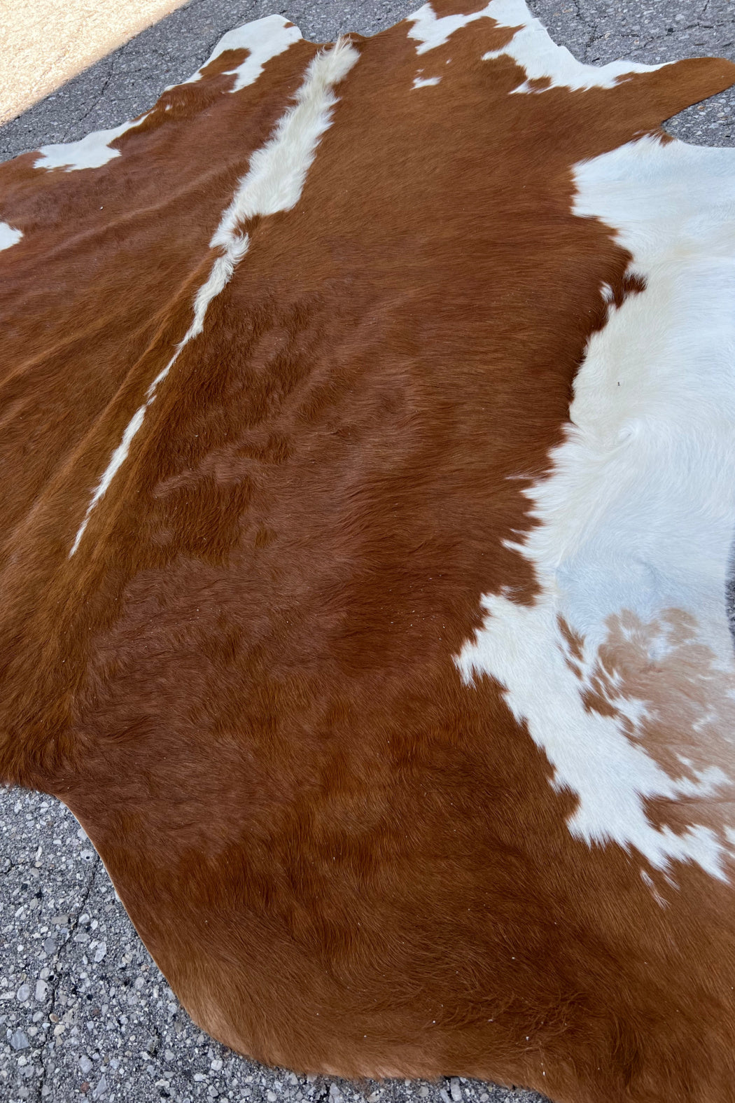 Cowhide Rug 04