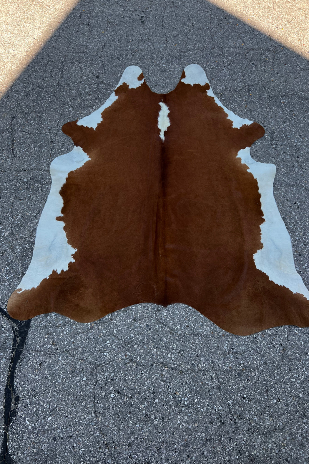 Cowhide Rug 13