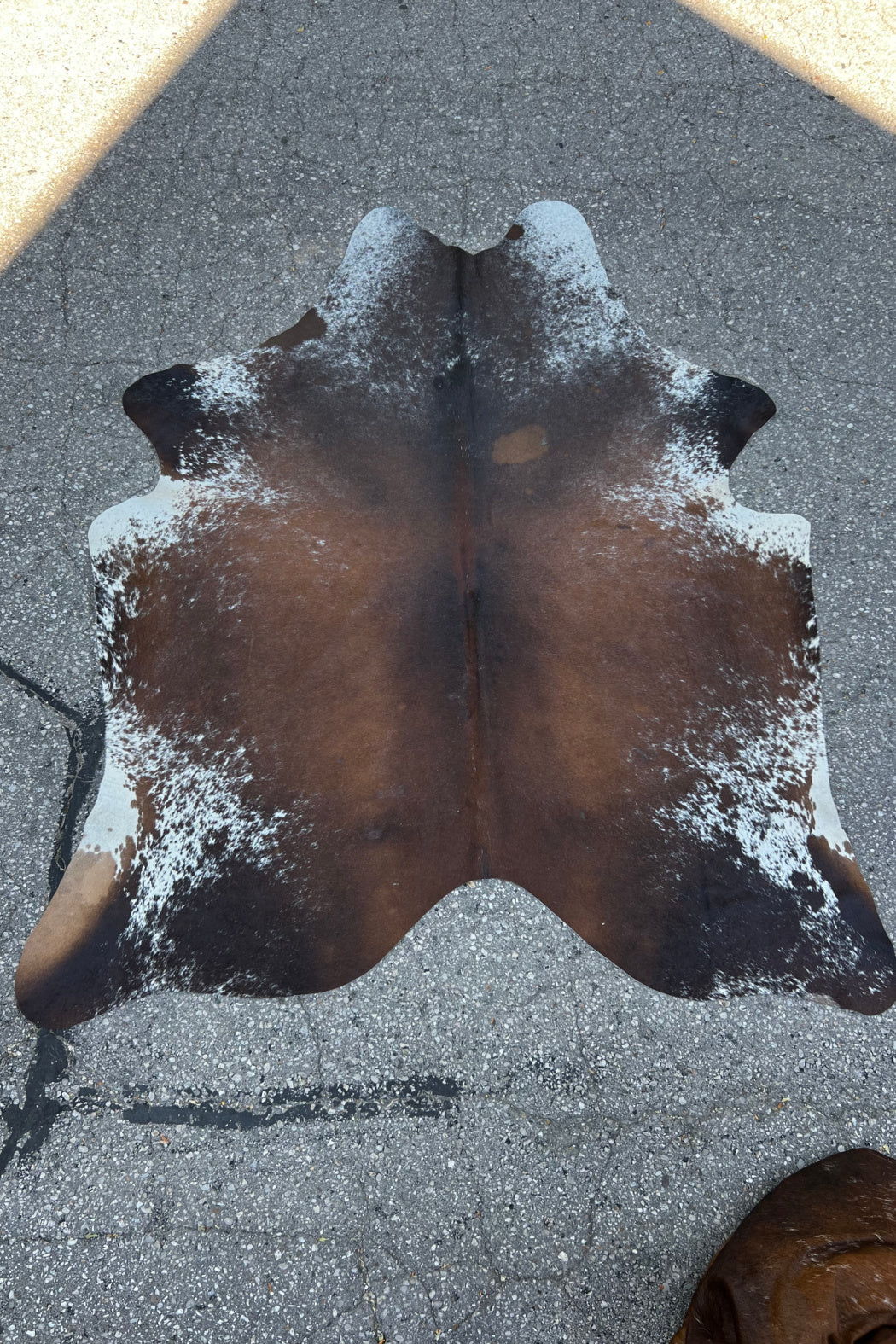Cowhide Rug 16