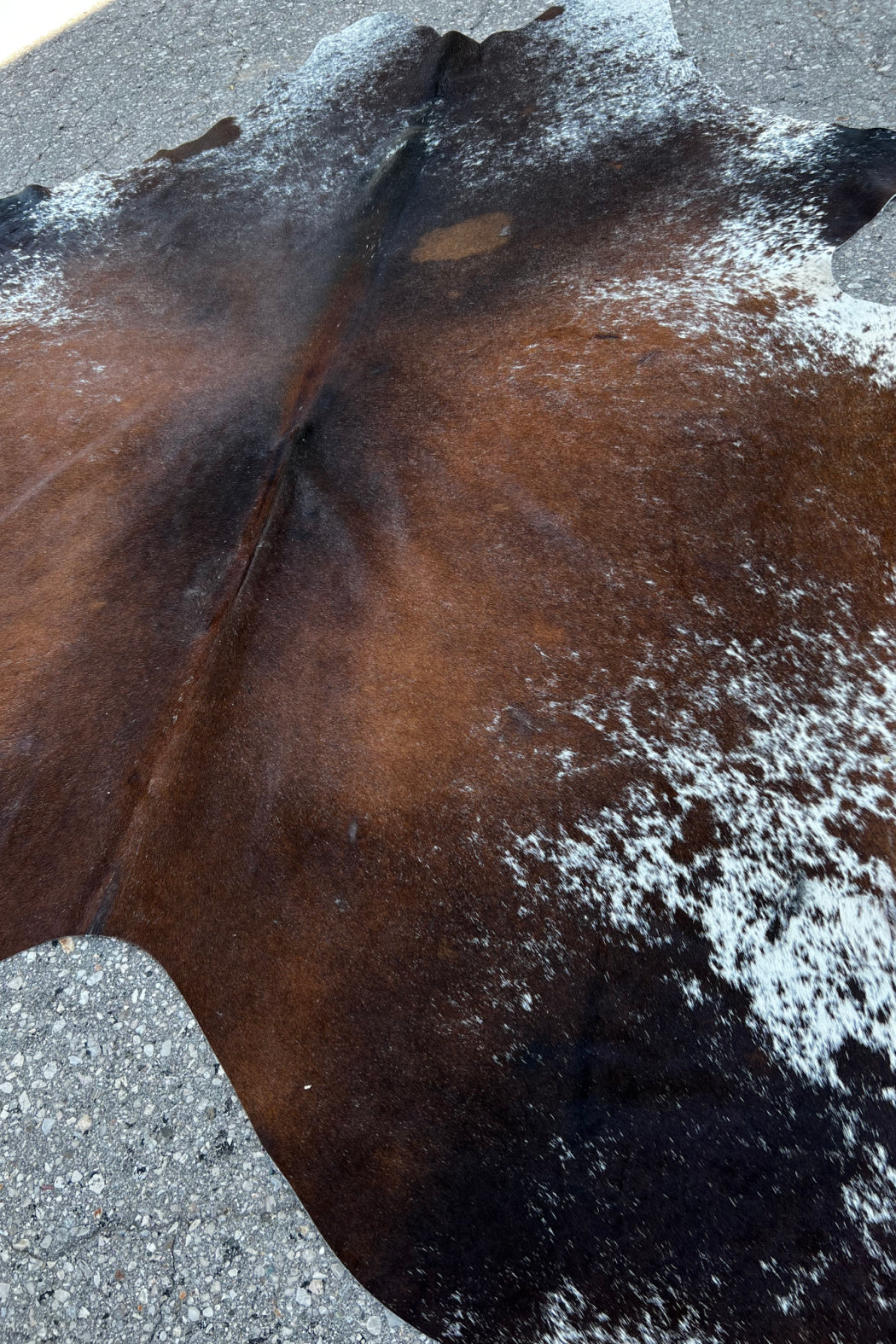 Cowhide Rug 16