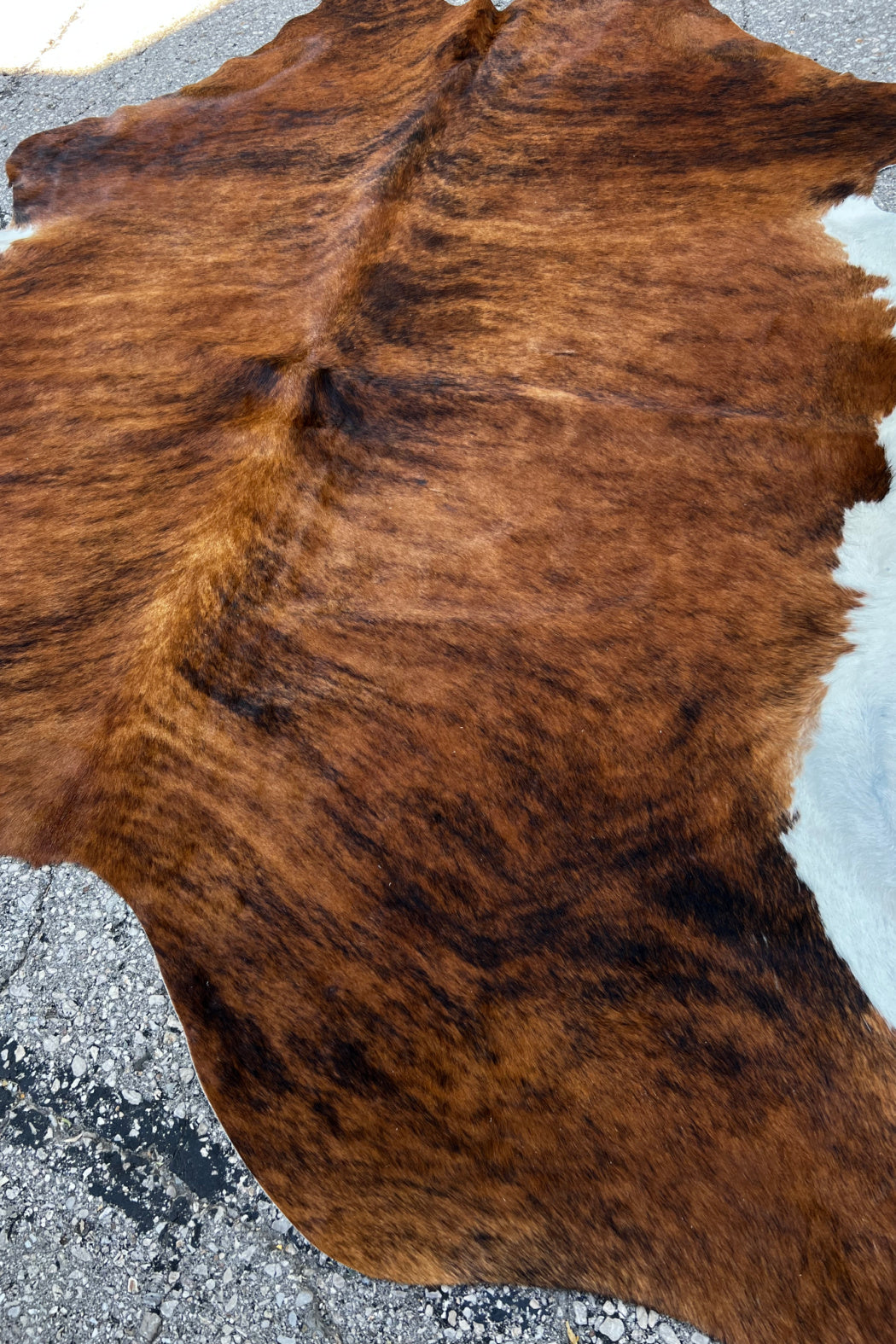 Cowhide Rug 45