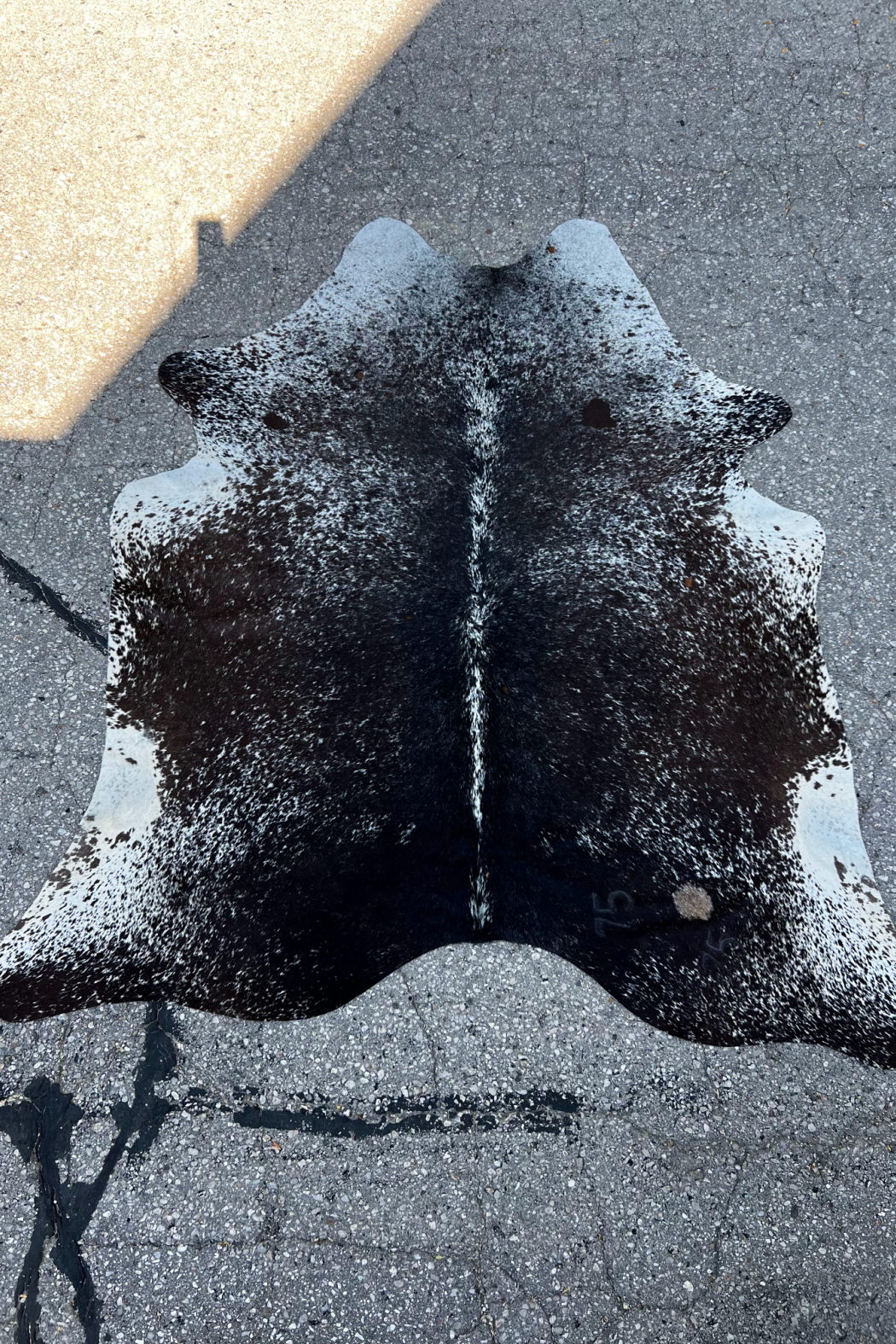 Cowhide Rug 47