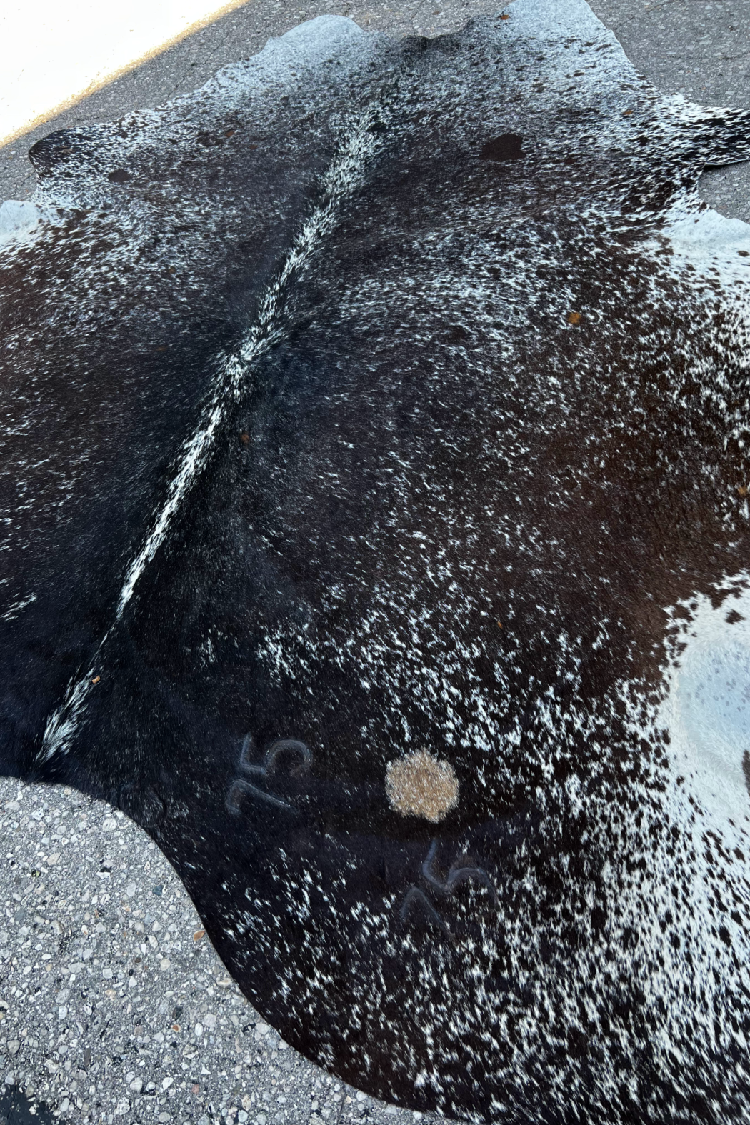 Cowhide Rug 47