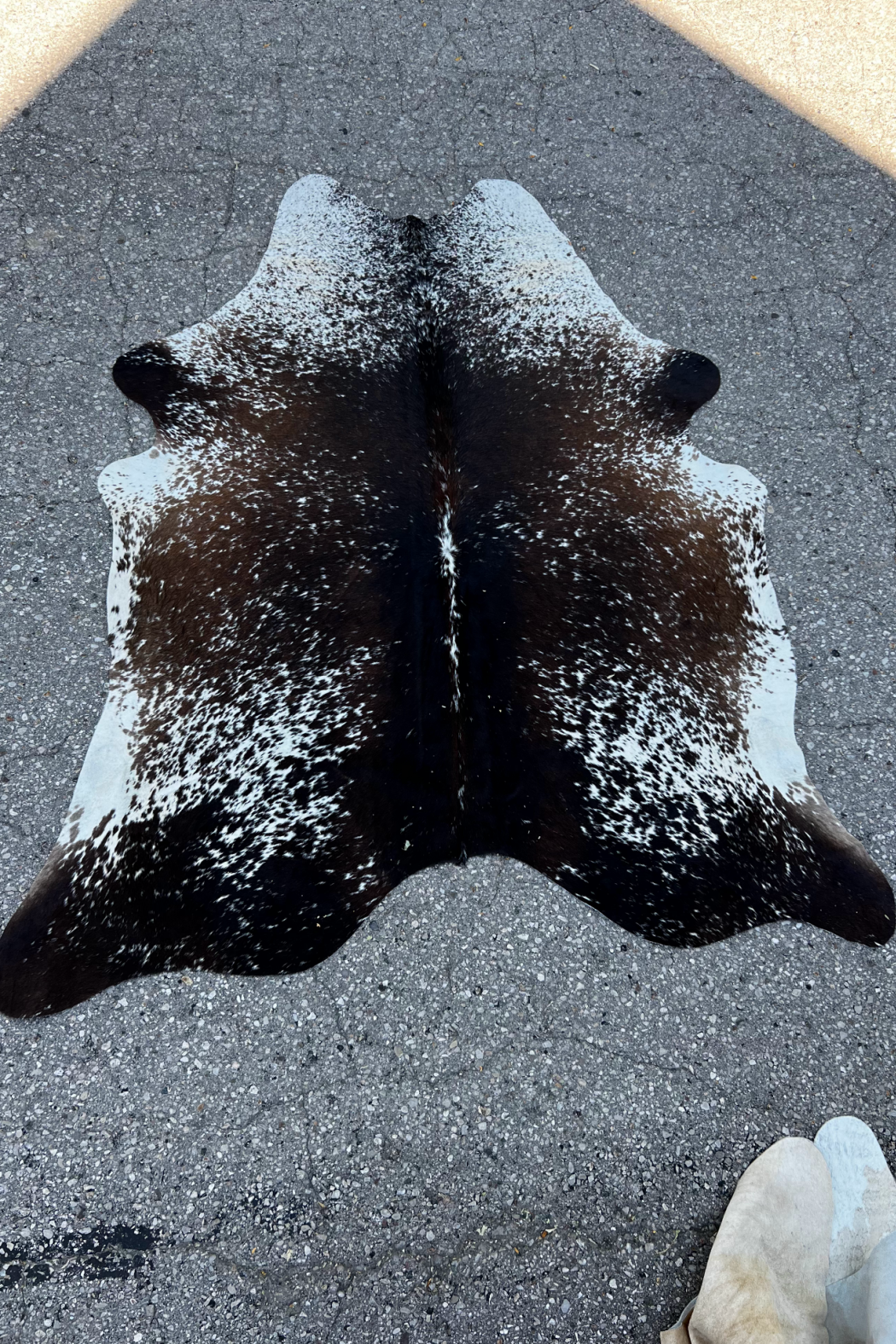 Cowhide Rug 34