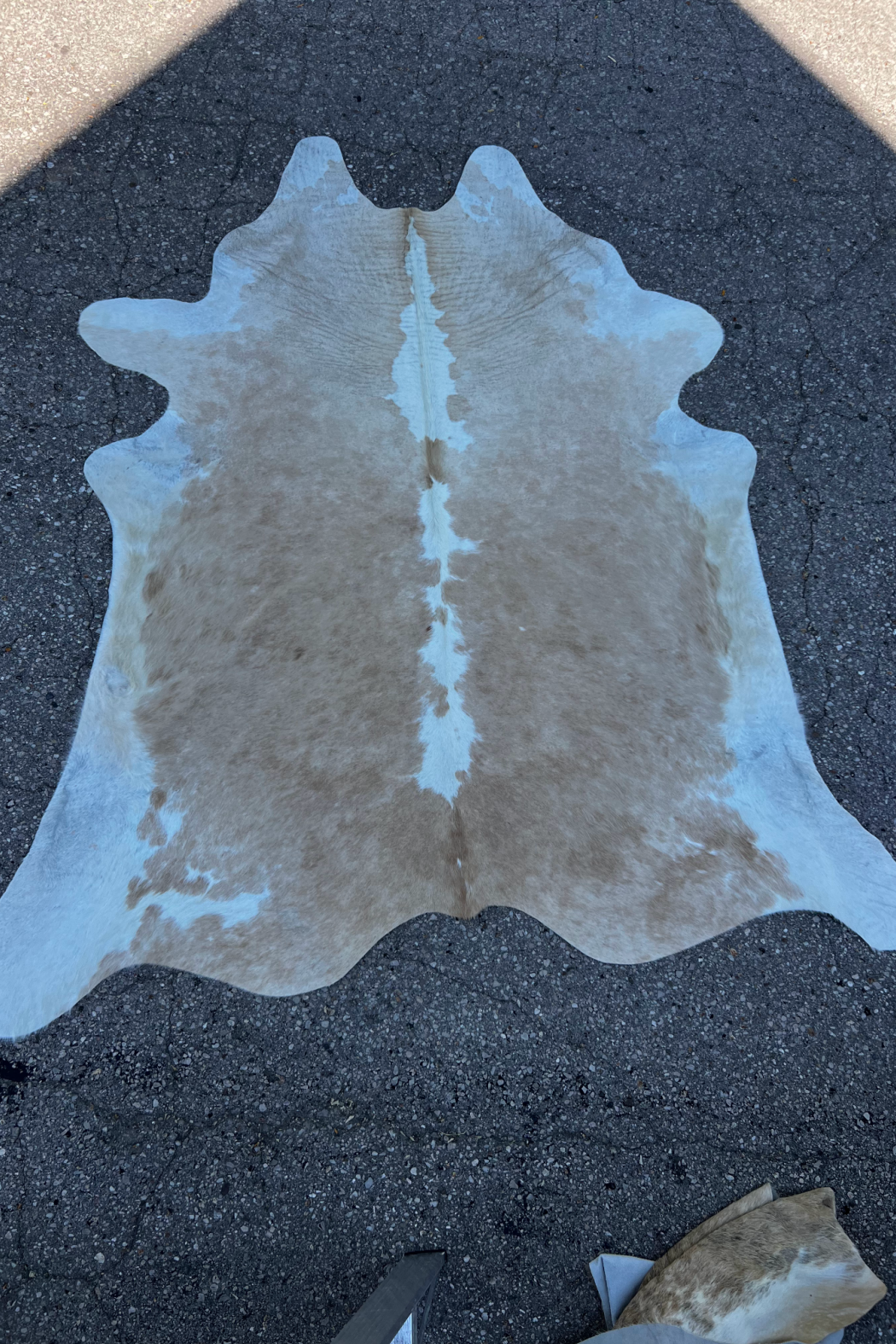 Cowhide Rug 18