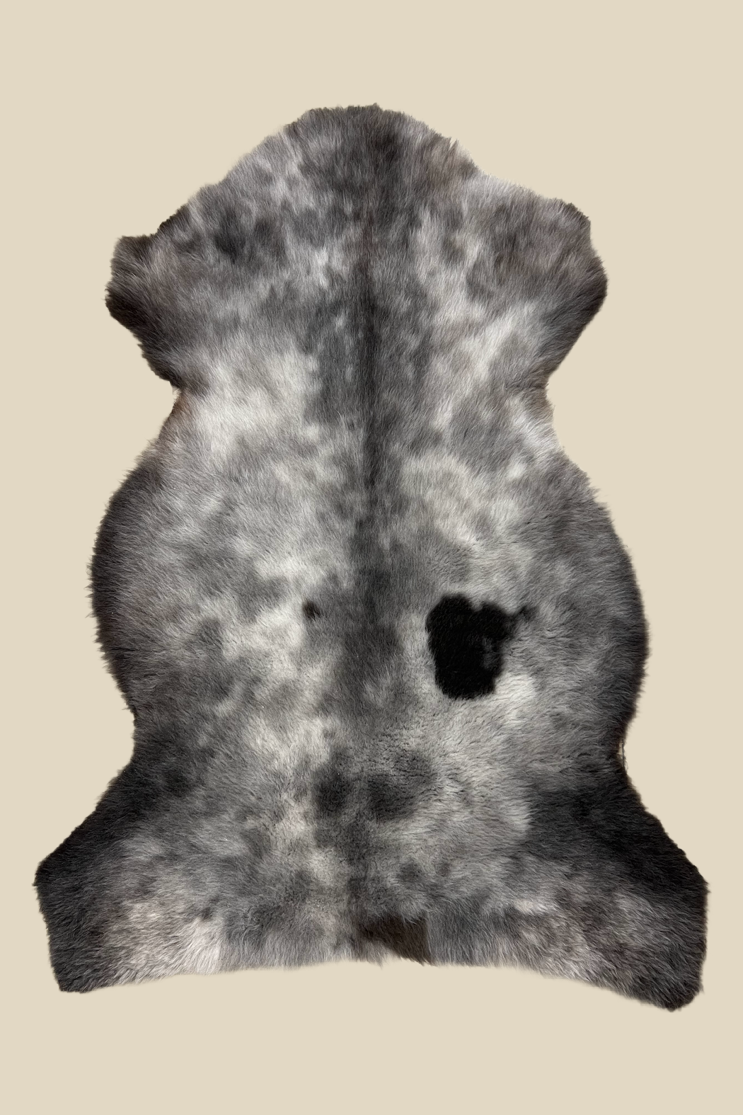 One of a Kind Sheepskin Rug