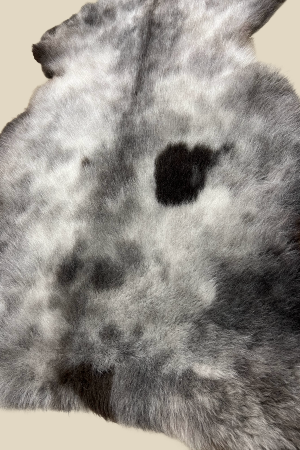 One of a Kind Sheepskin Rug