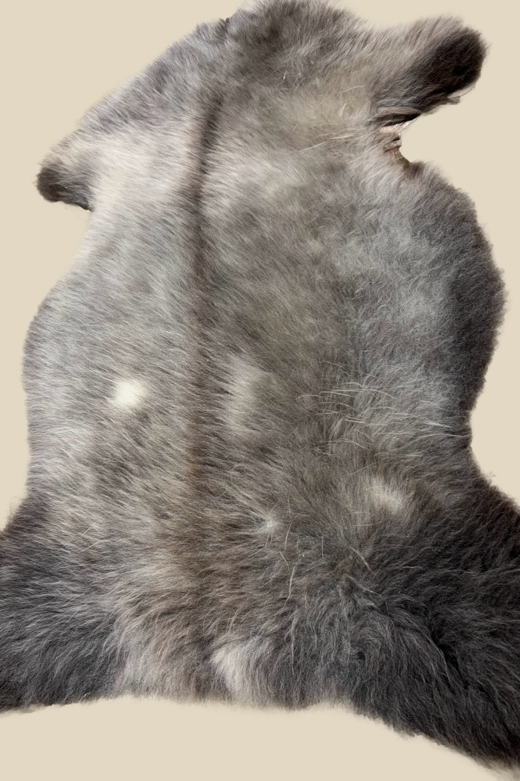 One of a Kind Sheepskin Rug