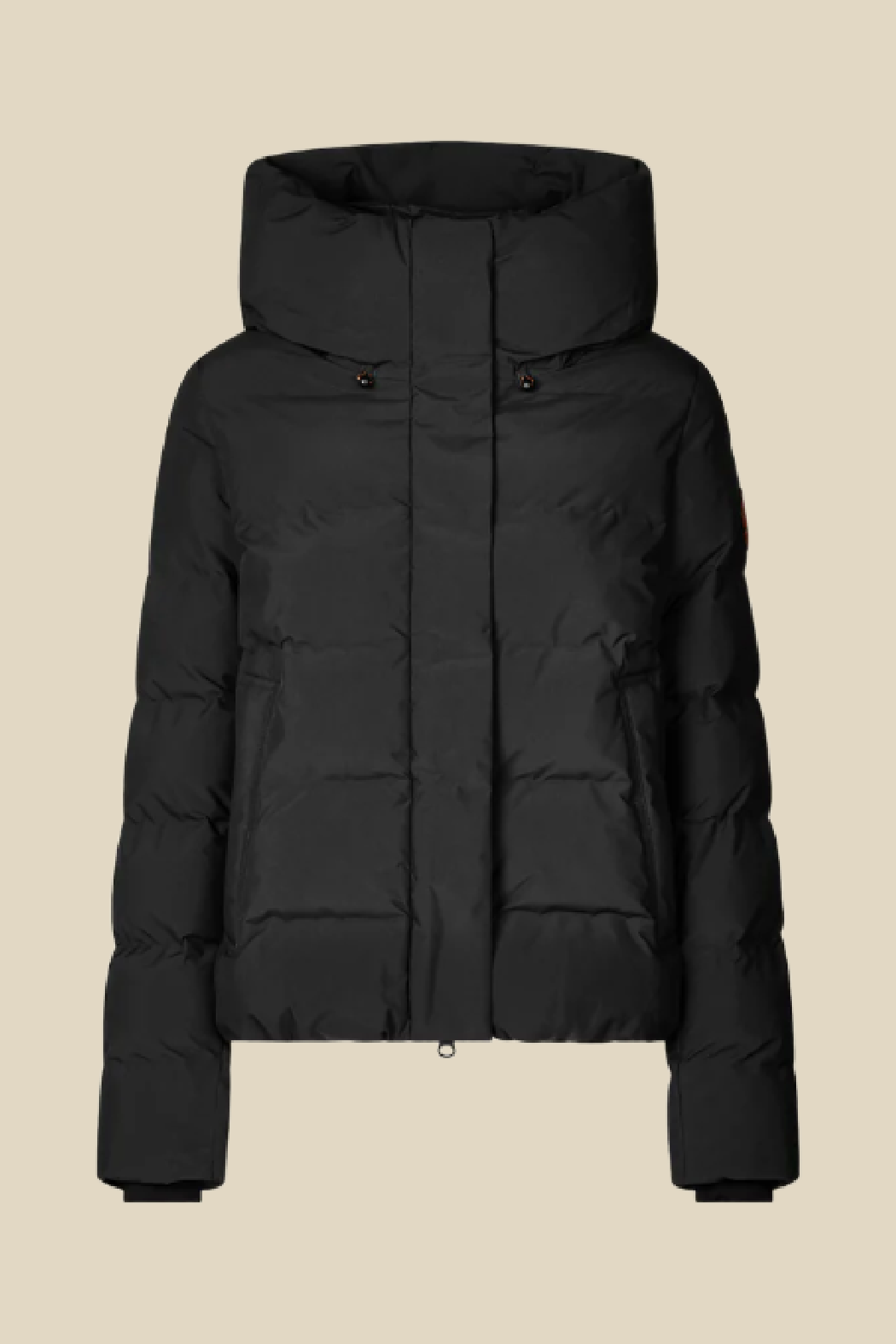 Arena Jacket