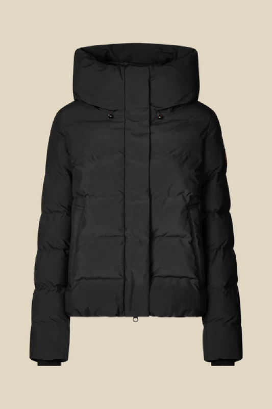 Arena Jacket
