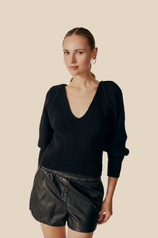 Stokesia V-Neck