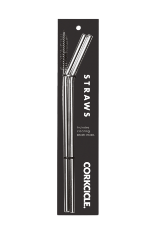 Tumbler Straw 2-Pack